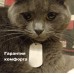 Стальной жетон‑адресник для собак и кошек