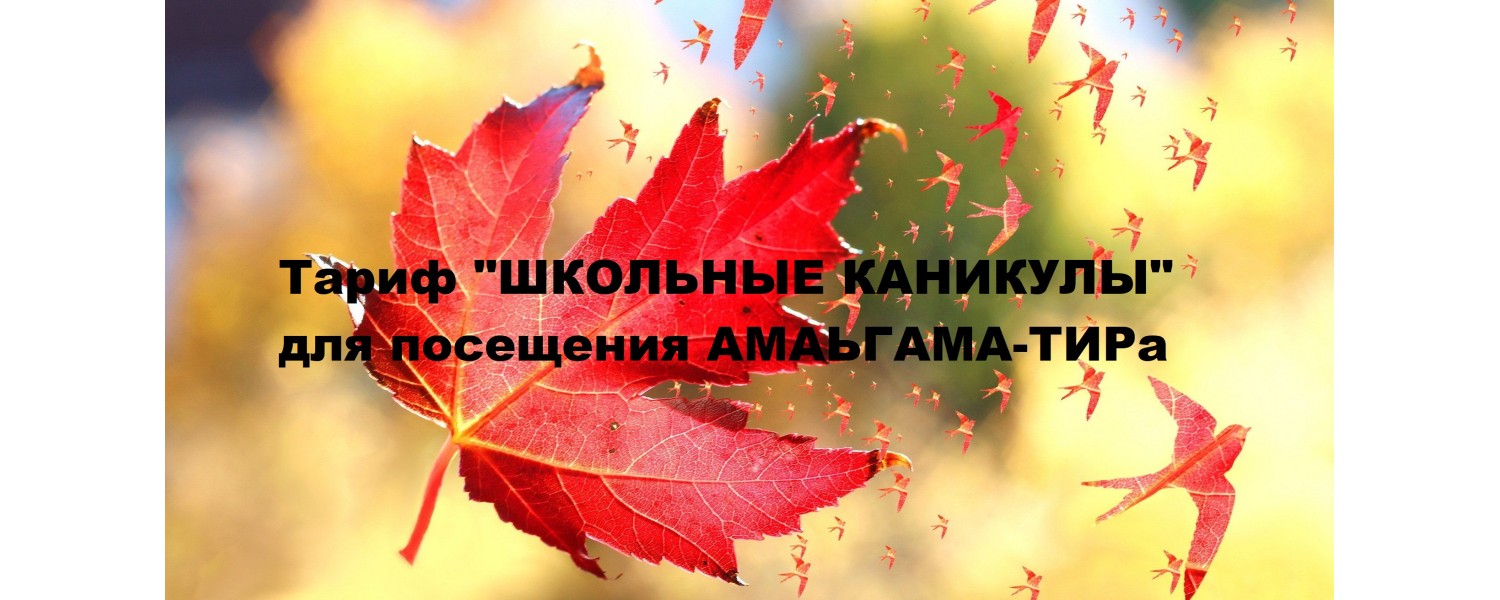 Тариф Школьные каникулы